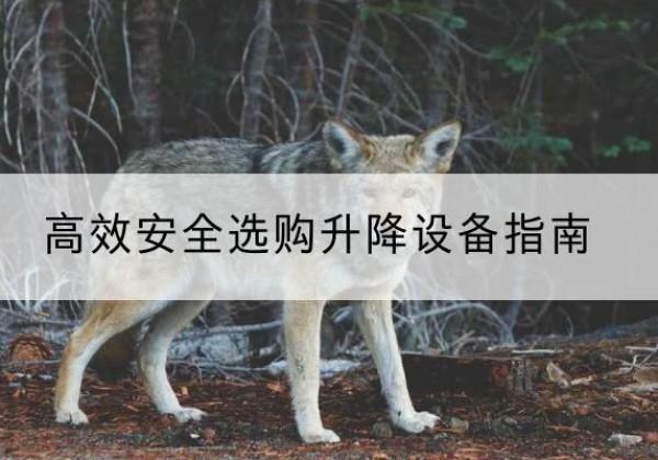 江阳升降货梯厂家推荐-*安全选购升降设备指南