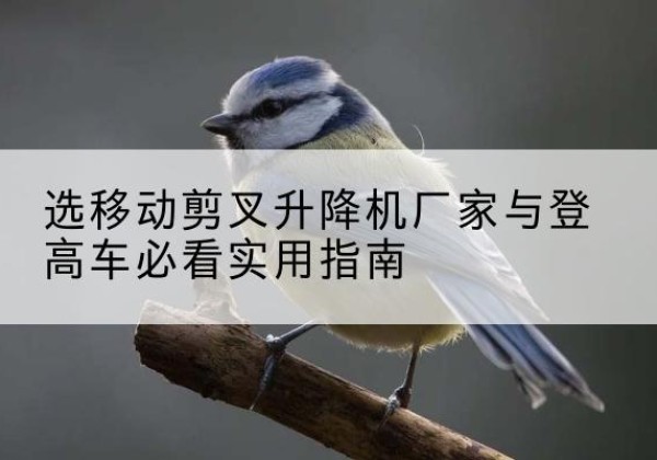 江阳电动升降机厂家-选移动剪叉升降机厂家与登高车必看实用指南